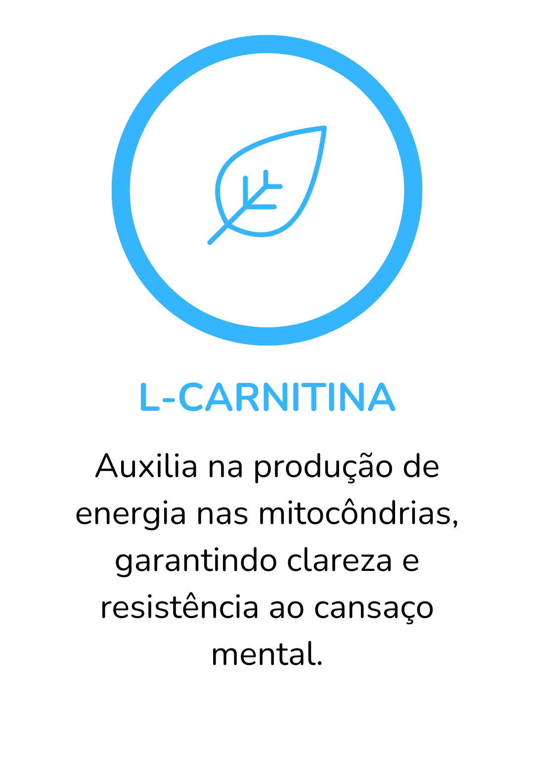 L-CARNITINA.png
